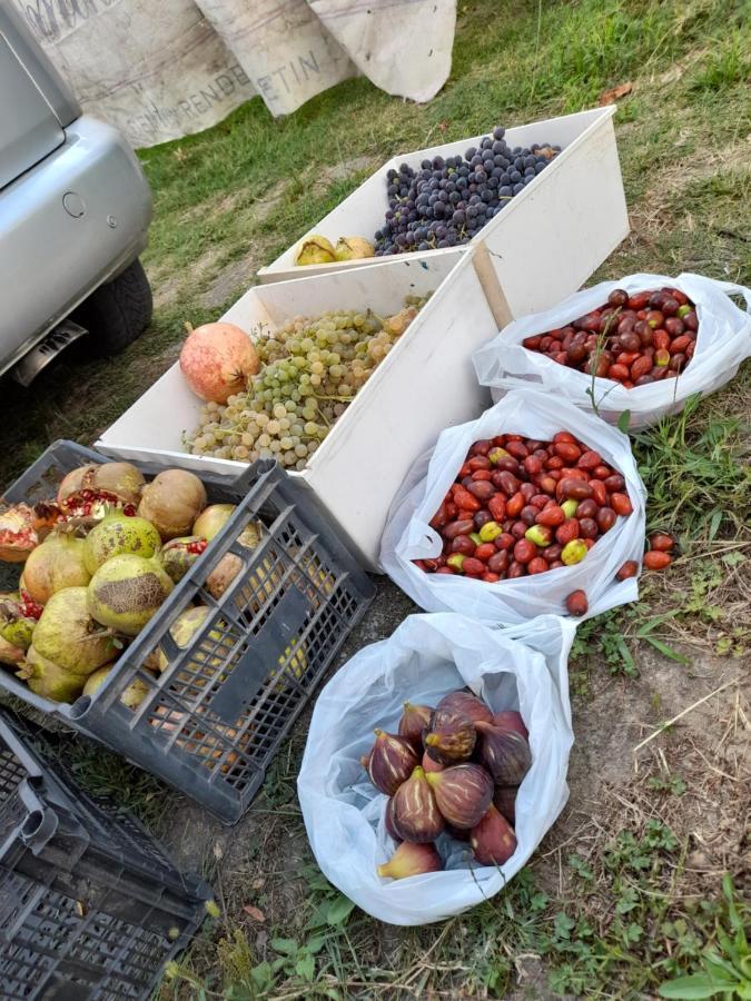 Chateau Sukaj Ljaknasi Eksteriør billede