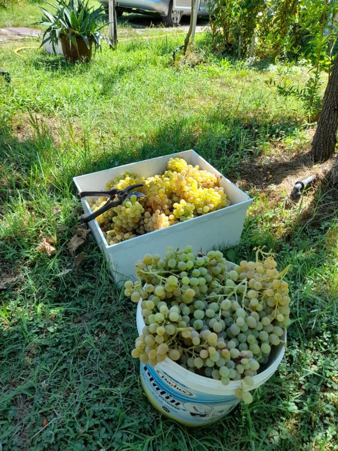 Chateau Sukaj Ljaknasi Eksteriør billede